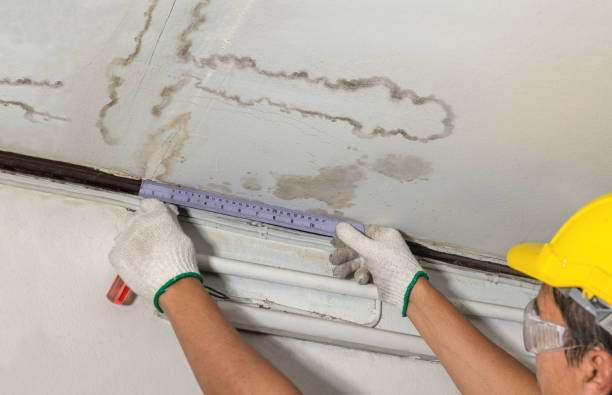 Reliable Structural Drying contractor in Breckenridge, MI by Local Water Damage Repair